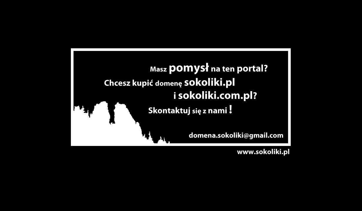 Domena Sokoliki.pl na sprzedaż
